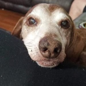 Meet your Posher, Marshall